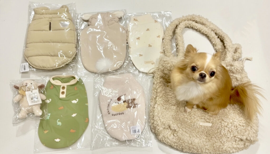 moncheri happybag 2026の中身全体写真