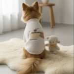 moncheriの犬服を着用したチワワの後ろ姿の写真