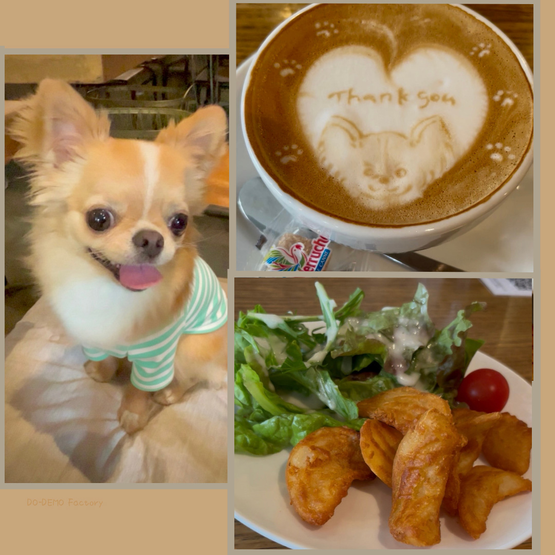 犬と行けるカフェ。anea cafe参宮橋店の紹介写真