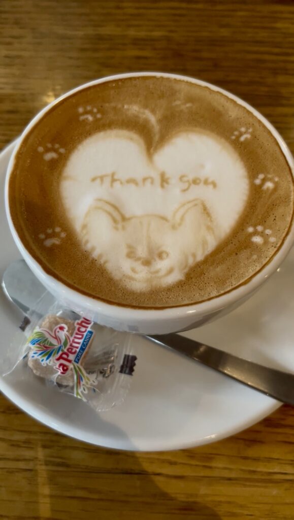 可愛い犬(チワワ)のラテアートの写真