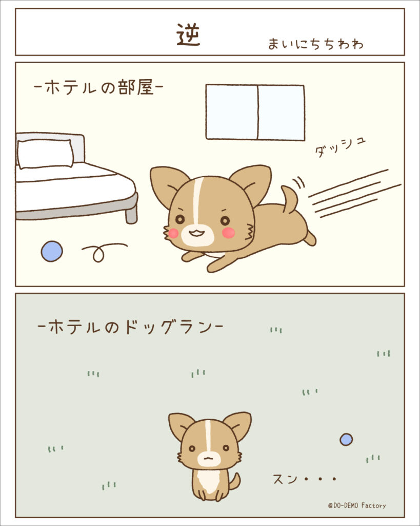 チワワ漫画「まいにちちわわ」部屋では遊ぶのにドッグランでは遊ばないチワワ